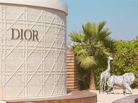 dior nammos dubai price|nammos in dubai.